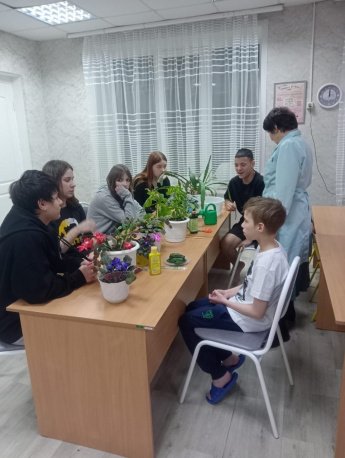 Учимся ухаживать за комнатными цветами