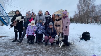 Чудеса дрессировки