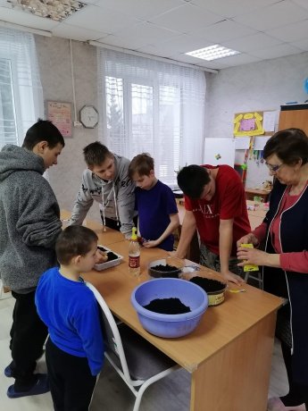 Готовим парнички для рассады