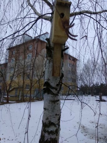 Участие во Всероссийской акции «Всемирный день птиц»