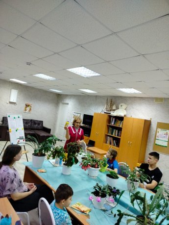 Уход за комнатными растениями