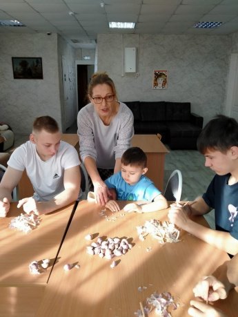 Огород круглый год