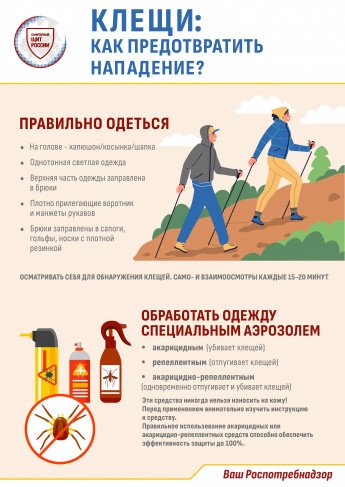 Клещи: Как предотвратить нападение?