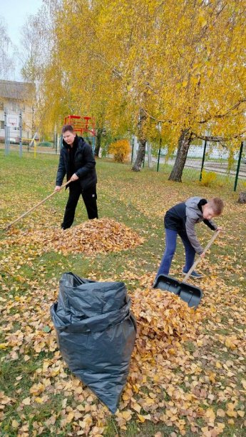 Золотая осень!